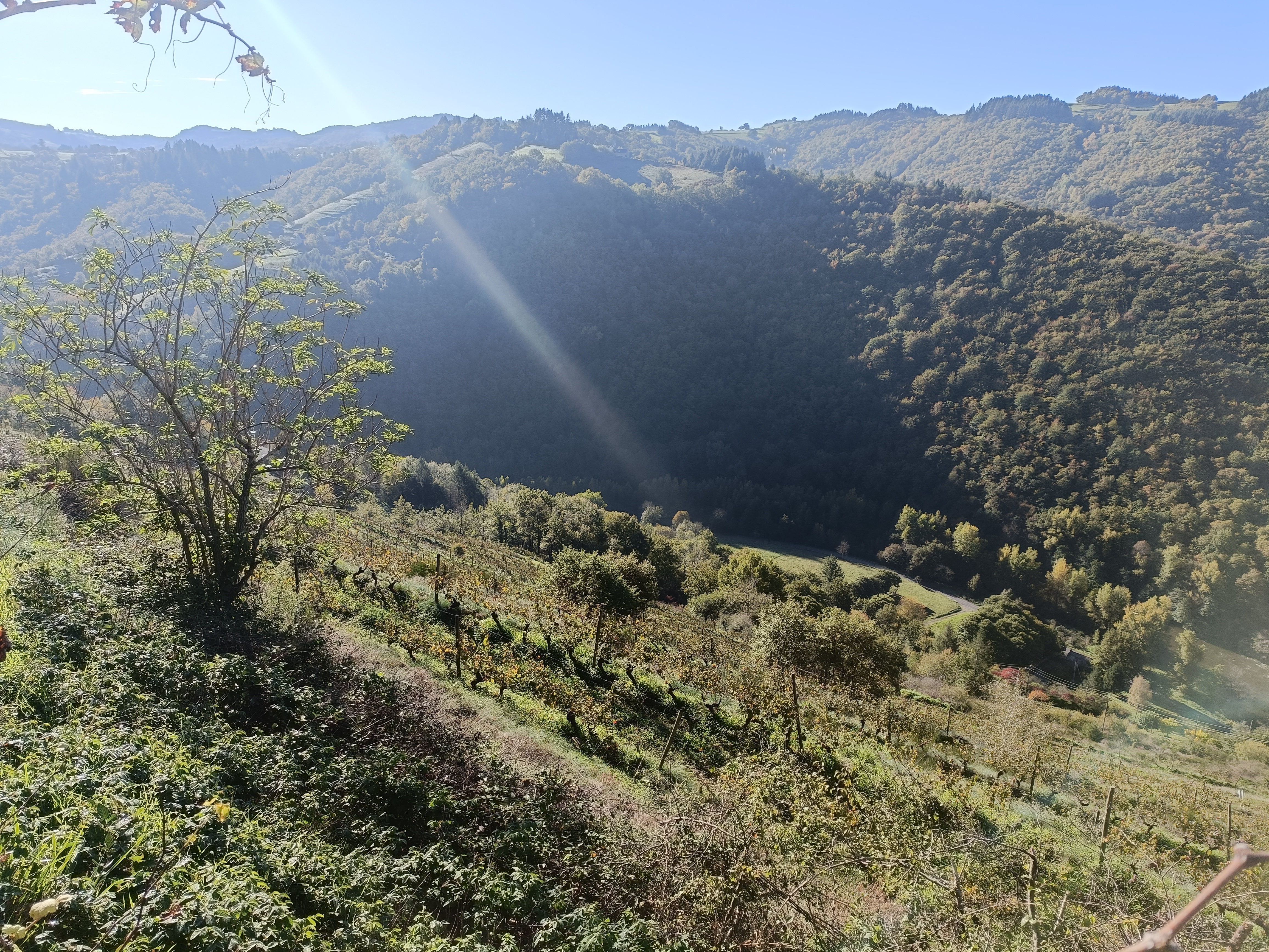 Des vignes du Fel aux auberges du Carladez